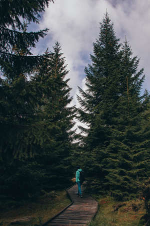 Lost in the Jizera forests on a wooden sidewalk. A young woman aged 20-24 walks on wooden boards, around a swamp. Portrait of a mountain girl in green and antique white tone.の写真素材