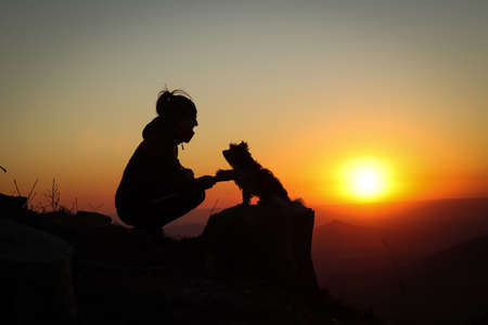 Confidence between a dog and a woman at sunset. Biewer Terrier Dog sitting on a tree stump hands his mistress's paw and looks at her with a loving look. Mountain top and sunset.の写真素材
