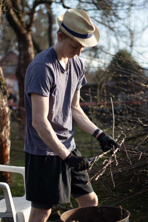 Young blond boy with a hat is chopping branches for later burning. Processing cut branches from...