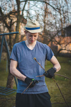 Young blond boy with a hat is chopping branches for later burning. Processing cut branches from fruit trees in orchards. Cutting branches into small sticks and putting them into a barrelの写真素材