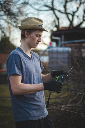 blond muscleman is working hard to cut through the thick branch and finish the job in the late afternoon. A man in his 20s and 26s, wearing black work gloves, holds a branch and cuts the other.の写真素材