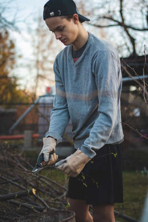 15-18 year old boy wearing a cap and work clothes cuts thin branches into small sticks with special scissors and puts them into an iron barrel for later consumption.の写真素材