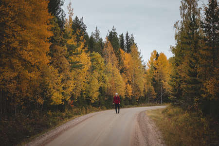 Man aged 23 wearing a checked red and black shirt walks along a foamy path surrounded by beautiful deciduous trees colored in autumn colors. Enjoy the moment. Kainuu region, Finland.の写真素材