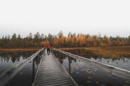 man in a red jacket and a gray cap walks on a wooden bridge, looking out over the lake and the surrounding woods in autumn colors. Kainuu region, Finland.の写真素材