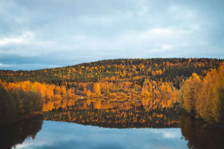 Autumn fairy tale in Kainuu, Finland. The colorful deciduous trees play with all their colors and reflect on the lake surface on a cloudy day. Orange, Green, blue colors.の写真素材