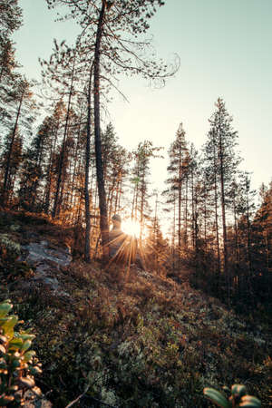 explorer looks out and explores new areas in the Kainuu region, in the middle of Finland. Searching for new targets and views in a forested environment. Reaching the destination at sunset.の写真素材