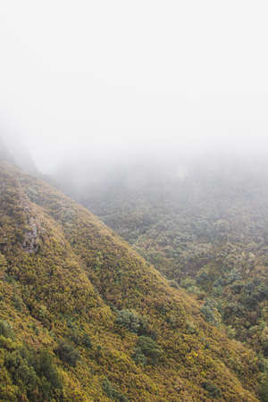 Pure and unspoilt nature on the long steep mountainsides around the Levada 25 fontes trail on the...