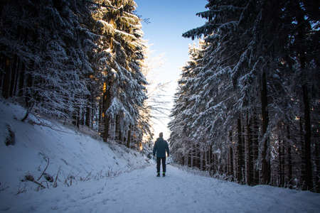 active hiker walks along a forest path in the snow and wanders to the end of his pilgrimage....