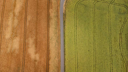 View of a grain field and fields of various vegetation near Kyjov, South Moravia, Czech Republic....