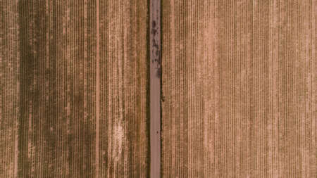View of a grain field and fields of various vegetation near Kyjov, South Moravia, Czech Republic....