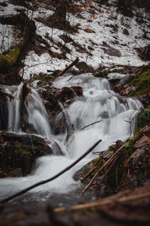 Water rolling in the bed of the hillside with morning mist permeating through the deciduous forest....