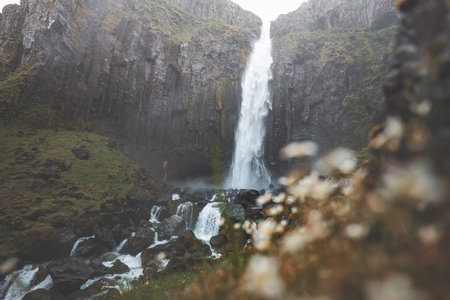 Grundarfoss waterfall on the Snaefellsnes Peninsula, Iceland, cascading from dramatic basalt cliffs...