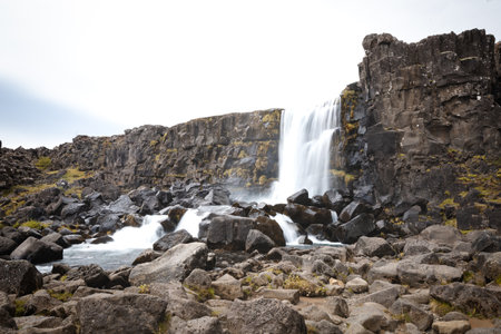 Oxararfoss waterfall cascades over rugged basalt cliffs in Iceland Thingvellir National Park, capturing the raw power and pristine beauty of Nordic nature.の写真素材