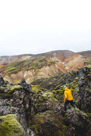 Hiker in a yellow jacket stands on mossy lava rocks, gazing at the vibrant rhyolite mountains of Landmannalaugar in Iceland. A moment of awe in the untouched Highlands.の写真素材