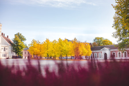 Golden autumn trees glow in a quiet courtyard surrounded by historic buildings, capturing Oslo's peaceful charm during a crisp fall morning. Festningsplassen under colors.の写真素材