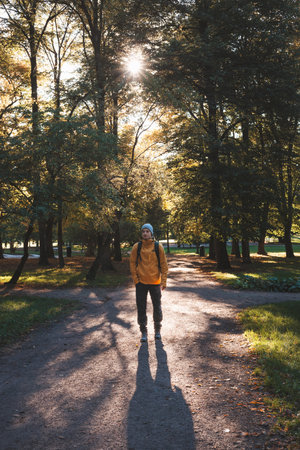 Solo hiker explores Oslo's serene park trails, embraced by golden autumn light streaming through tall treesâwhere nature and peace go hand in hand. Norwegian nature.の写真素材