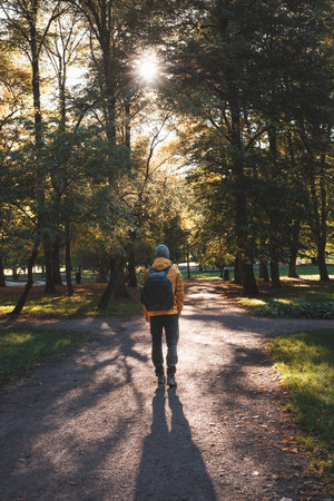 Solo hiker explores Oslo's serene park trails, embraced by golden autumn light streaming through tall treesâwhere nature and peace go hand in hand. Norwegian nature.の写真素材