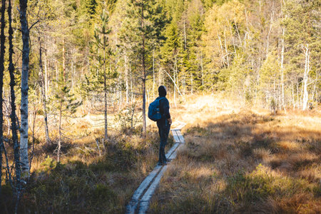 Backpacker walks on a narrow wooden trail in Oslo Marka, surrounded by golden autumn light and the silent whisper of Nordic wilderness. Norwegian raw nature.の写真素材
