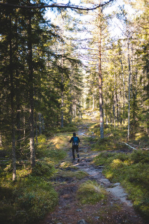 Adventurer walk a muddy trail through the dense forest of Oslo Marka, where every step leads deeper...
