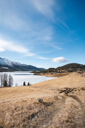 Frozen lake Lognvikvatn surrounded by golden spring fields and distant snowy peaks, Norway. Beautiful contrast of seasons and pure northern landscapeの写真素材
