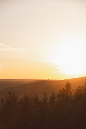 Holmenkollen ski jump rises through golden haze above Oslo pine-covered hills during sunset, glowing in warm Scandinavian spring atmosphere.の写真素材