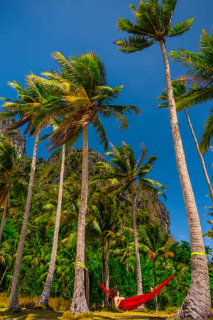 Woman relaxing in a hammock between palm trees on island, Palawan, Phillipinesの写真素材