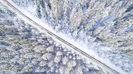 Aerial view of road cutting through snow covered forest.の写真素材