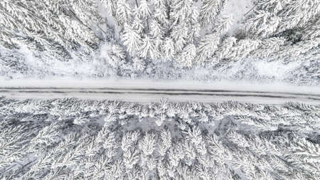 Snow covered forest in winter with road cutting through.