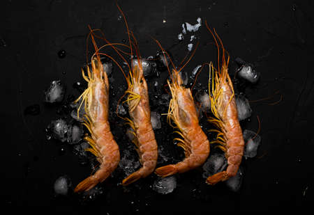 four pieces of shrimp on ice chunks on a black background. view from aboveの写真素材
