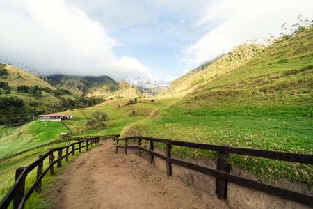 Panoramic Views of The Cocora Valley in Salento, Quindio, Colombia.