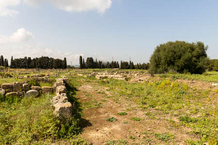 Natural Sceneries of The Archaeological Area of Megara Iblea in Province of Syracuse, Sicily, Italy.の写真素材