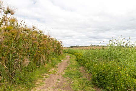 Awesome Green Sceneries of Natural Reserve of Ciane River (Riserva Naturale Fiume Ciane-Saline di...