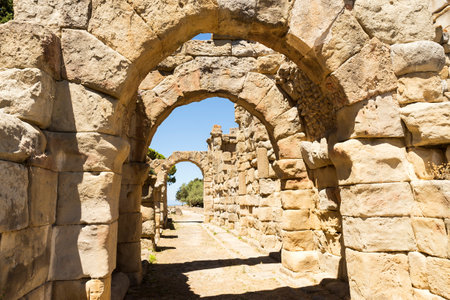 Architectural Sights of The Archaeological Park of Tindari (Roman Basilica), in Tindari, Messina Province, Italy.の写真素材