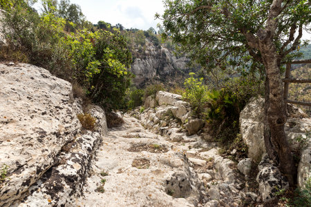 Beautiful Sceneries of Cava Carosello Natural Reserve in Ancient Noto, Sicily, Italy.の写真素材