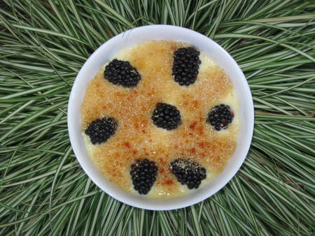 Creme brulee with berries served in a bowlの写真素材