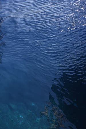 Water background - rippled blue sea water pool surfaceの写真素材