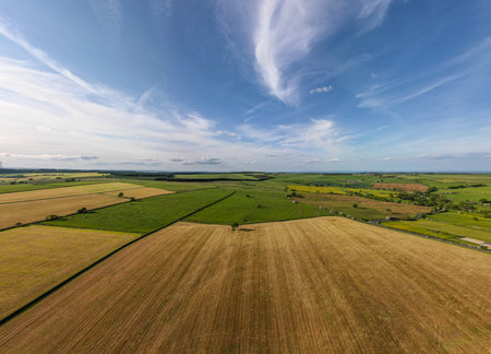 Aerial view of the harvest fields in Poland. Drone photography.の写真素材
