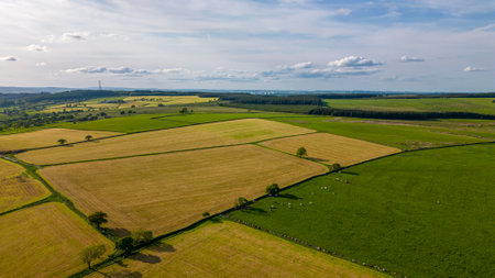 Aerial view of agricultural fields and meadows in the countryside.の写真素材