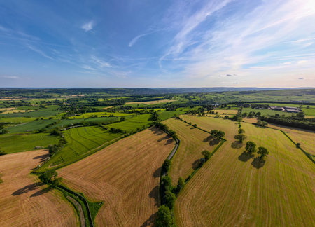 Aerial view of agricultural fields and forests in the countryside during summerの写真素材