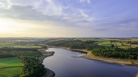 Aerial view of the lake and forest at sunset in summer.