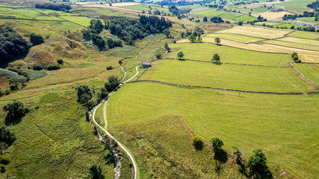 Aerial view of a rural road passing through a green meadowの写真素材
