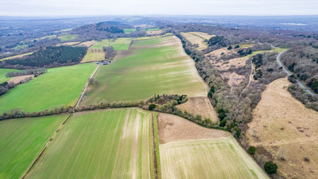Aerial view of agricultural fields in the countryside in springtime.の写真素材