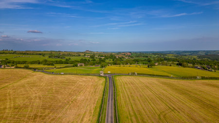 Aerial view of a rural road passing through the countryside in summerの写真素材