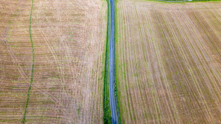 Aerial view of the road through the field. View from above.の写真素材