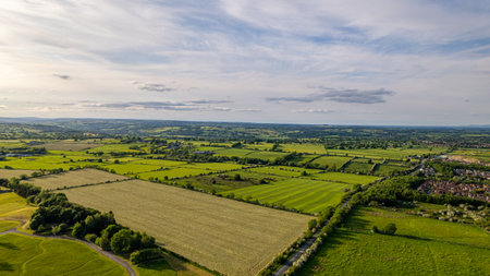 Aerial view of the countryside in summer with fields and meadowsの写真素材