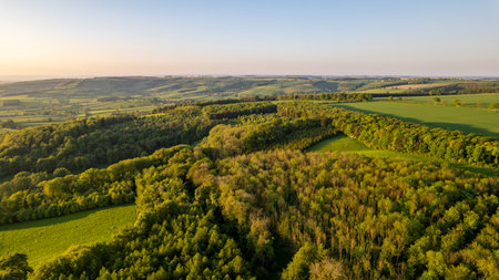 Aerial view of fields and forests in the countryside at sunset.の写真素材