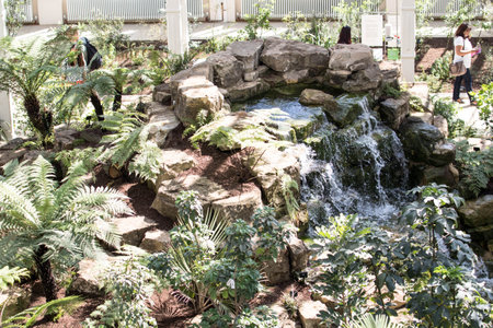 Luxury tropical garden with waterfall and ferns in summerの写真素材