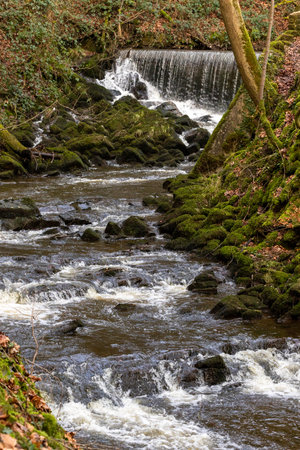 Waterfall in the forest with rocks and moss in the foreground.