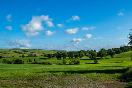 Landscape with green meadows and blue sky with white clouds.の写真素材