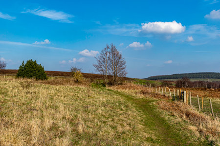 Hiking trail in a sunny spring landscape with green grass and blue skyの写真素材